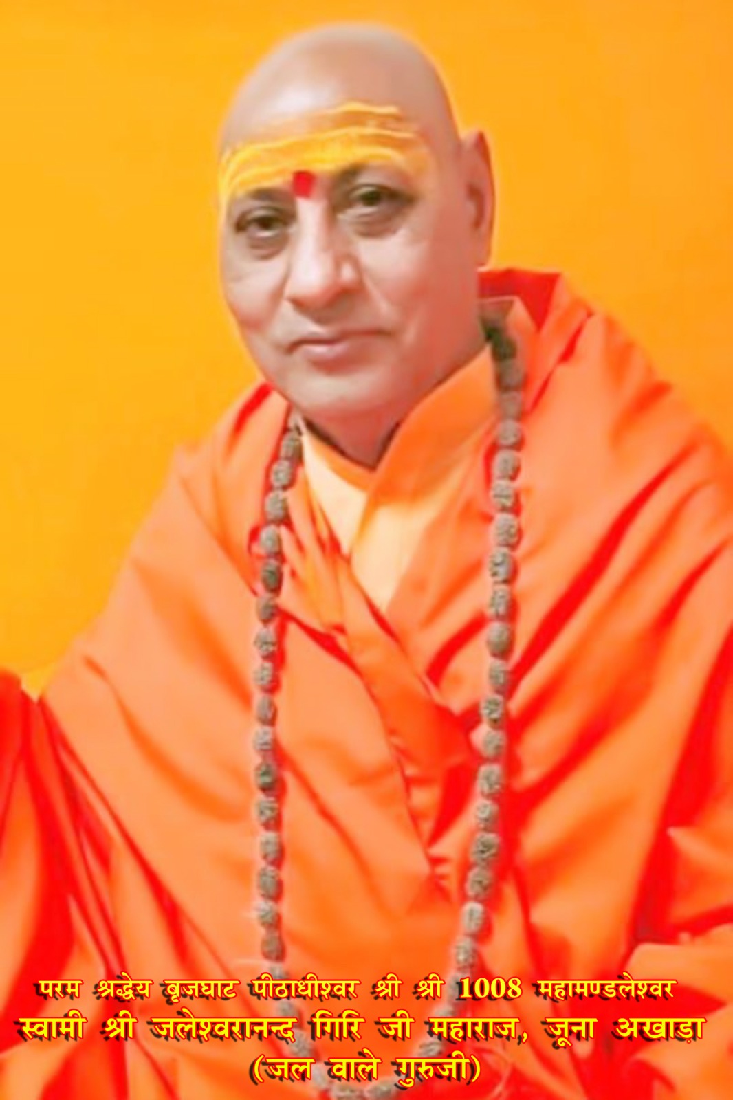 श्री श्री 1008 महामण्डलेश्वर स्वामी श्री जलेश्वरानन्द गिरी जी महाराज