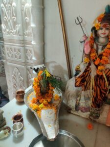 Parad Shivling – Bhavya Jag Janani Darbar